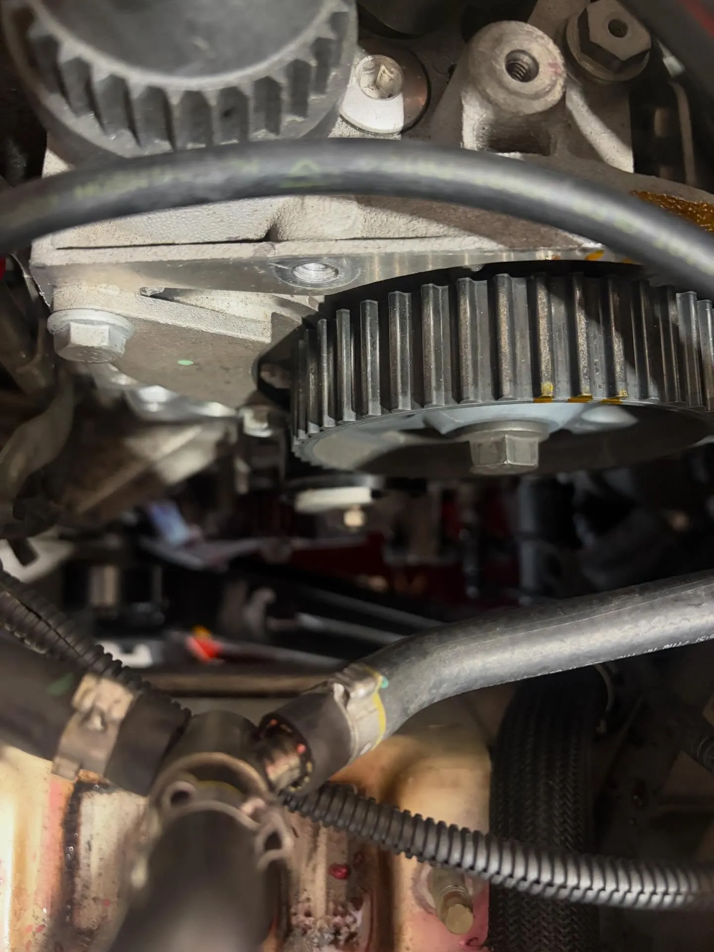 本日はアバルトDAYでしたね！